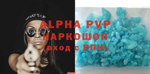 шишки Лабытнанги