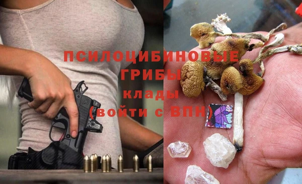 бошки Лагань