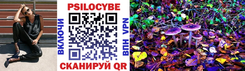Псилоцибиновые грибы Psilocybine cubensis  купить наркоту  Заречный 