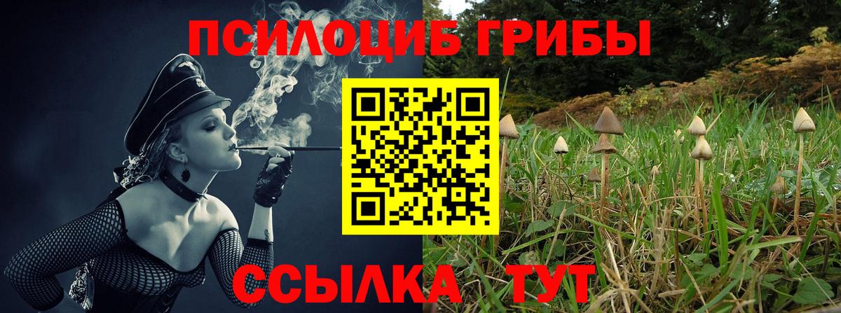 Псилоцибиновые грибы Magic Shrooms Заречный